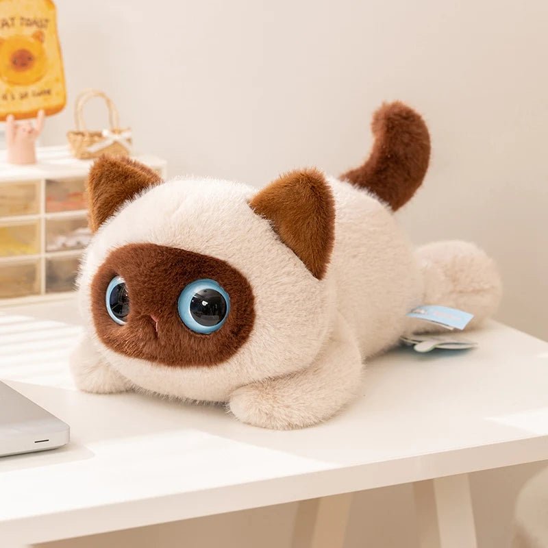 20/40cm Big Eyes Cat Plush Toy Pet Kitten Plush Doll High Quality Exquisite Cat Soft Comfortable Pillow Birthday Gift