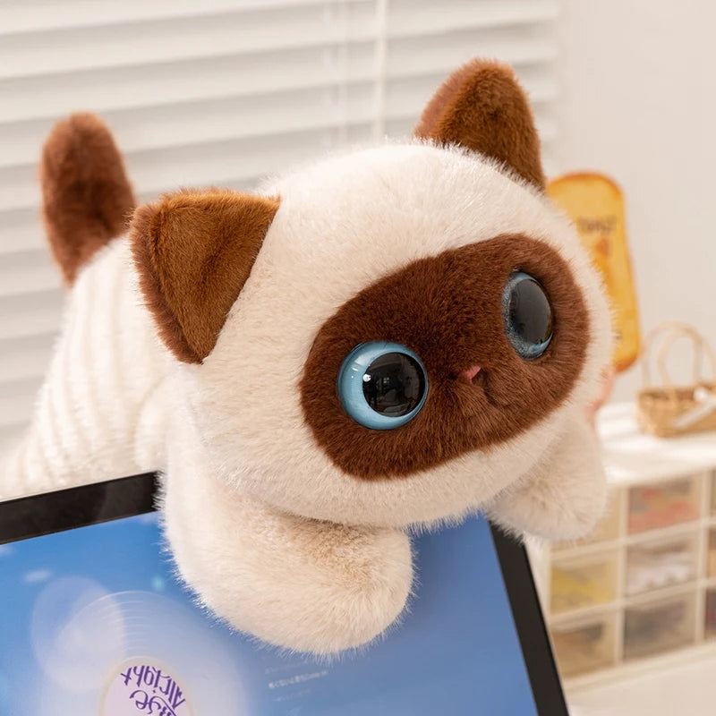 20/40cm Big Eyes Cat Plush Toy Pet Kitten Plush Doll High Quality Exquisite Cat Soft Comfortable Pillow Birthday Gift